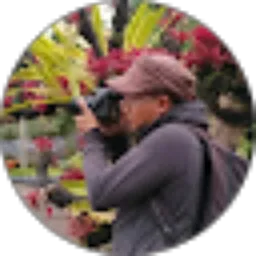 Review From Tri Andoyo