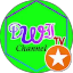 Review From Dwi TV 2