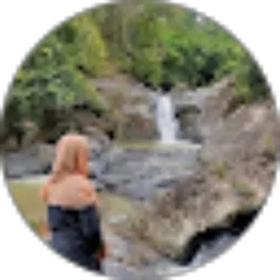Review From Alfiani Nur