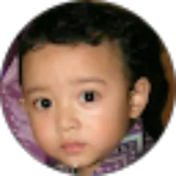 Review From Zaki Arkana Raziq