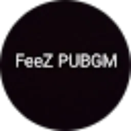 Review From FeeZ PUBGM