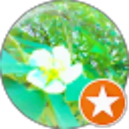 Review From Rachma Watthy