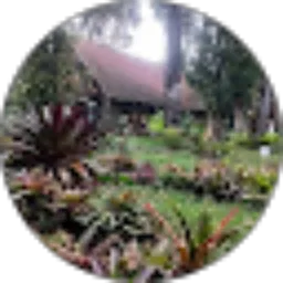 Review From cindy Lareine