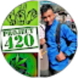 Review From No eL