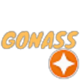 Review From GONASS