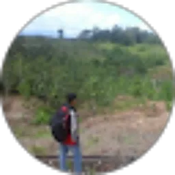 Review From Muhamad Maulana