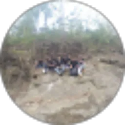 Review From angga nugraha