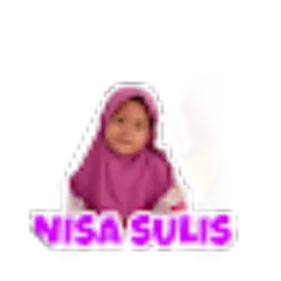 Review From Nisa Sulis