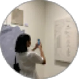 Review From Shiroryy