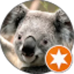 Review From N vvidia