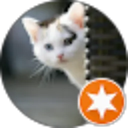 Review From Far Yanie