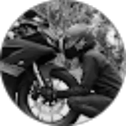 Review From Daus Witwiky