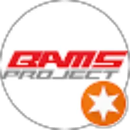 Review From THE BAMS PROJECT