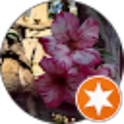 Review From N Ark O oNeeYe