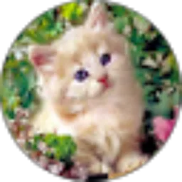 Review From tina kitnac