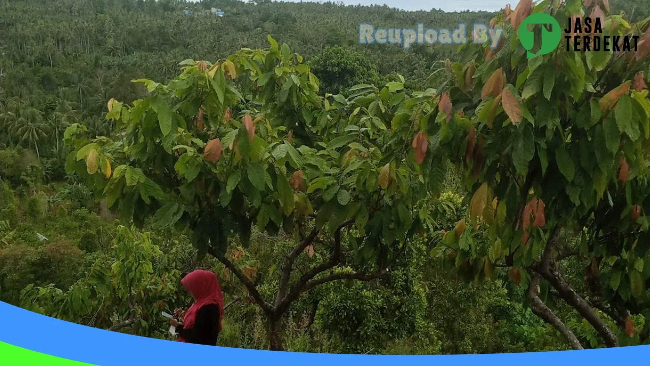 Gambar SMAN 1 Balinggi – Parigi Moutong, Sulawesi Tengah ke 3