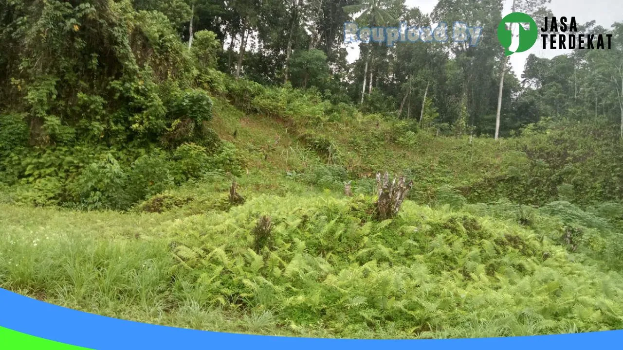 Gambar ASRAMA TARUNA SMK NEGERI 1 SUPIORI – Supiori, Papua ke 1