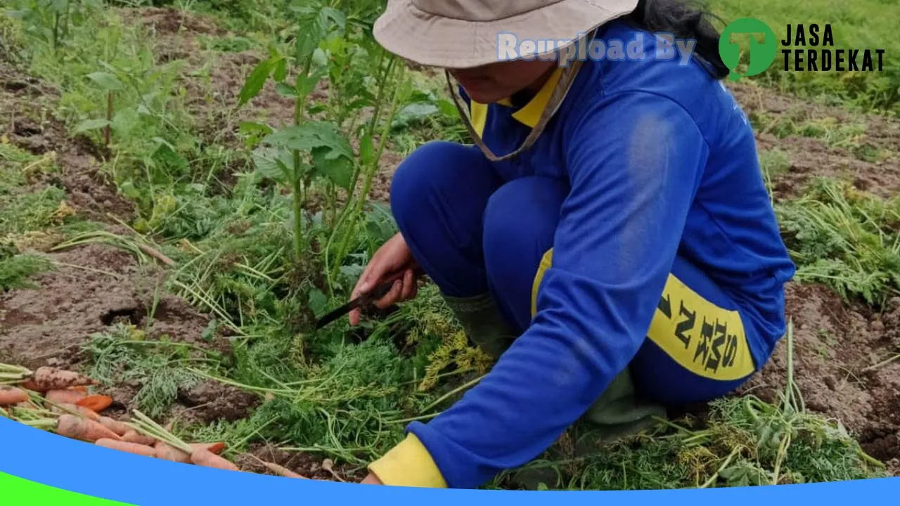 Gambar SMK NEGERI 1 PEGAGAN HILIR – Dairi, Sumatera Utara ke 5