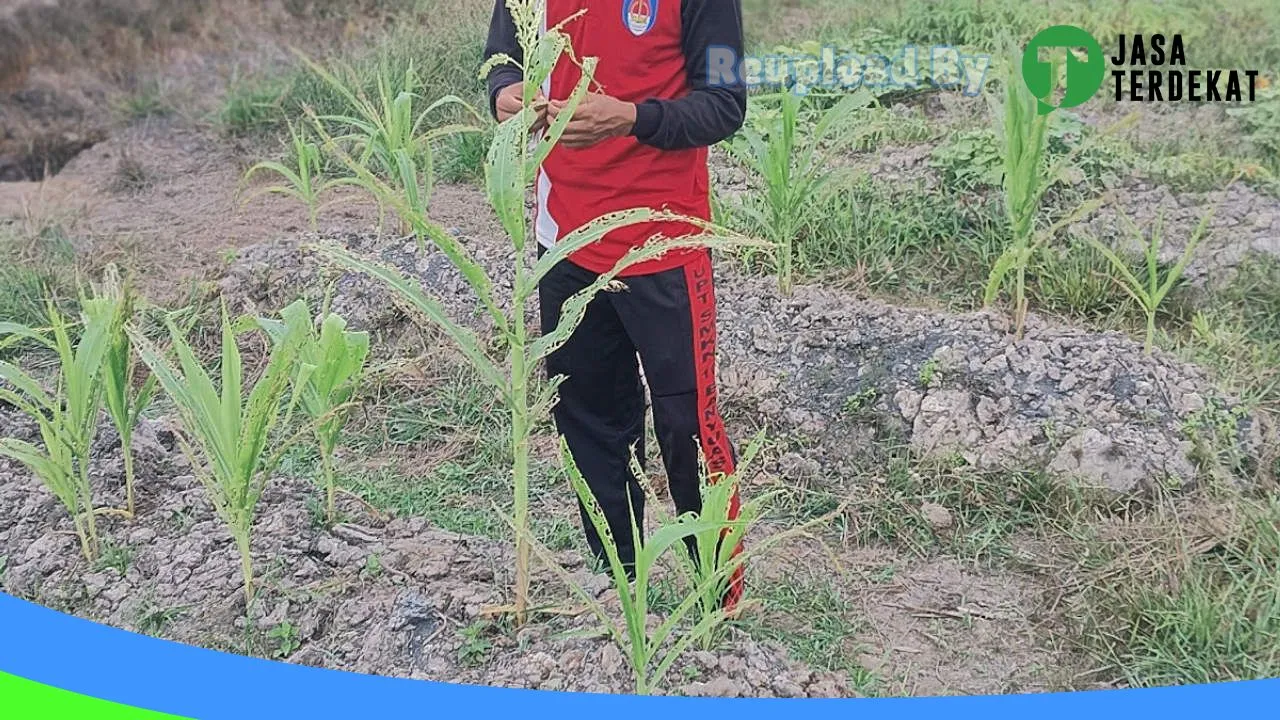 Gambar SMK N 1 Tungkal Ilir – Banyuasin, Sumatera Selatan ke 4