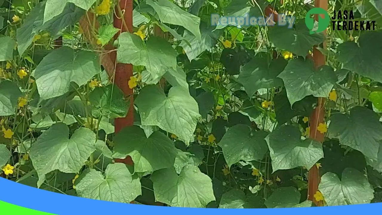 Gambar SMK NEGERI 2 SERAM BAGIAN BARAT – Seram Bagian Barat, Maluku ke 5