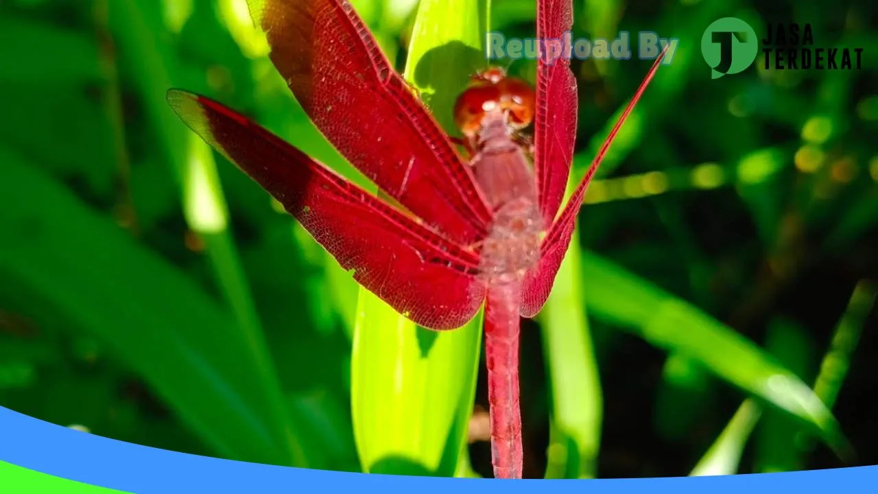 Gambar KP2KP Kaimana – Kaimana, Papua Barat ke 5