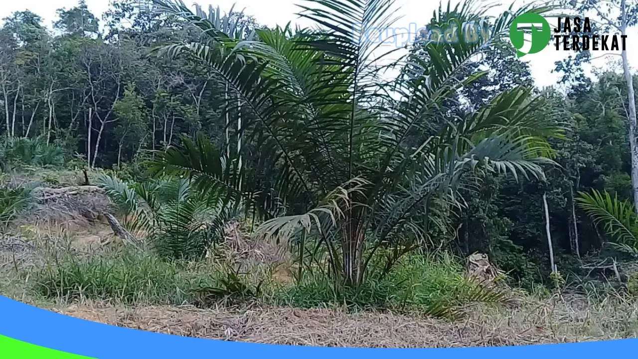 Gambar PT.Ina Zefanya Ataya (IZA) – Musi Rawas Utara, Sumatera Selatan ke 2