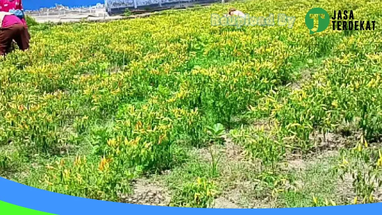 Gambar SMKN 05 BOMBANA – Bombana, Sulawesi Tenggara ke 3