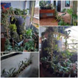 Review image Abdullah Abil