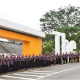 Review image wuri tarzia