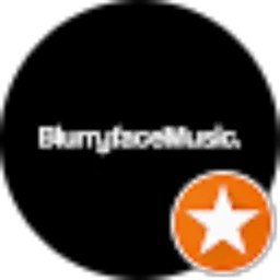 Review From Blurryface Music