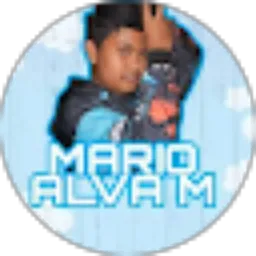 Review From Mario Art