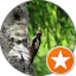 Review From karangmoncol