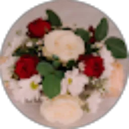 Review From Elsa Novita