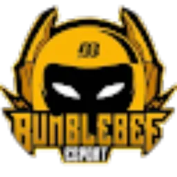 Review From BUMBLEBEE ESPORT