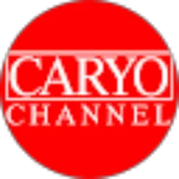 Review From Caryo Channel