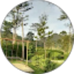 Review From Ika Feranika