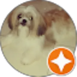 Review From loy r