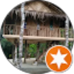 Review From Budisub