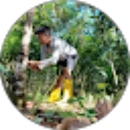 Review From junifor zebua
