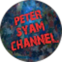Review From Peter Syam