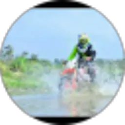 Review From Edi Purwanto