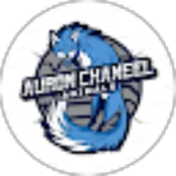 Review From Auron Chaneel