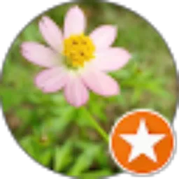 Review From Mitsuki Izuma