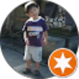 Review From Sonni Soetjipto