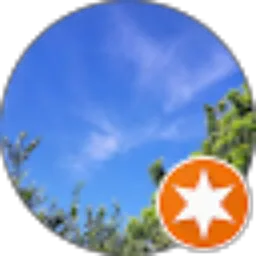 Review From Why U