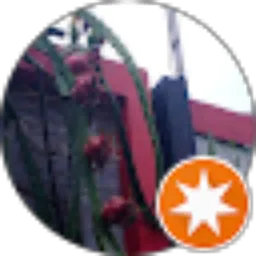 Review From Aria Furisan