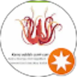 Review From Nats Strisari
