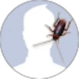 Review From Spontan