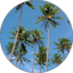 Review From Herman Pieter N.