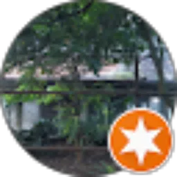 Review From halfway through